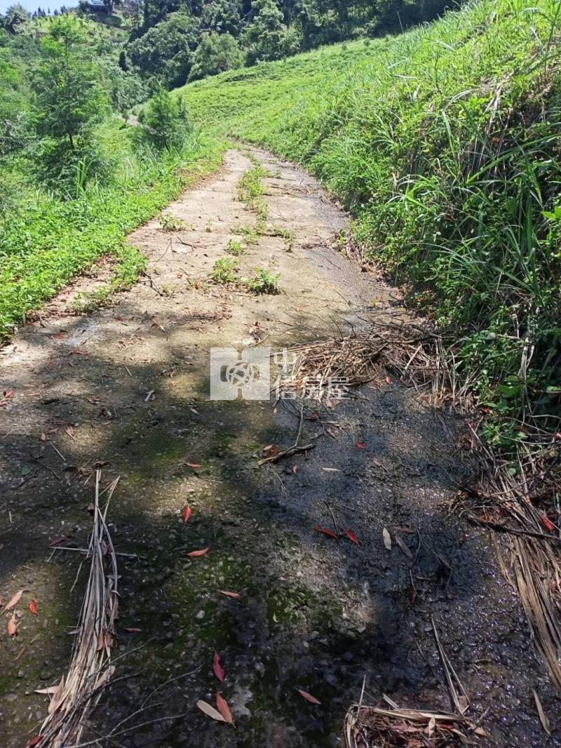 苗栗大湖馬拉邦山 便宜山坡地房屋室內格局與周邊環境