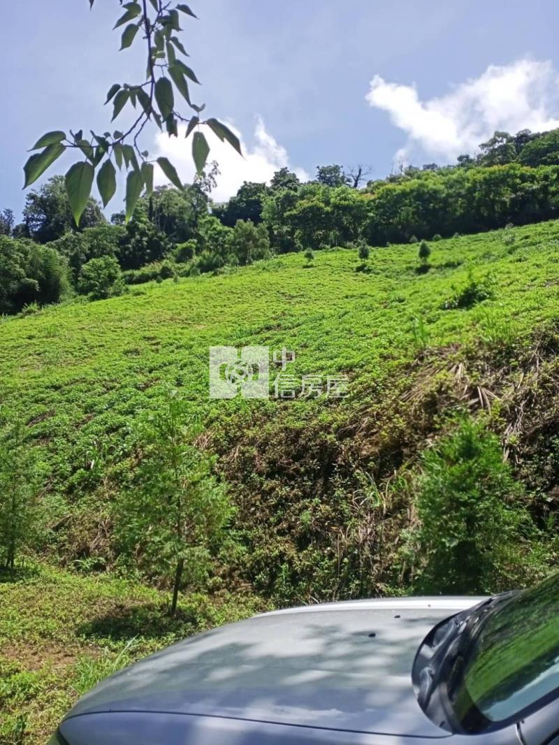 苗栗大湖馬拉邦山 便宜山坡地房屋室內格局與周邊環境