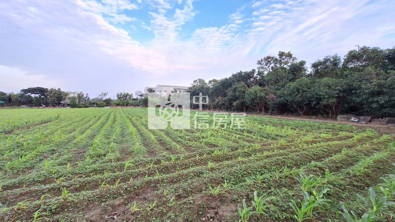 歸仁媽祖廟段一般農地房屋室內格局與周邊環境