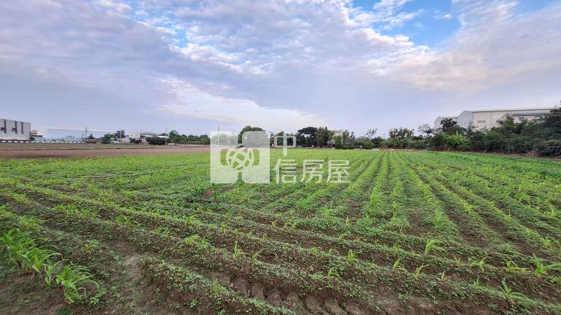 歸仁媽祖廟段一般農地房屋室內格局與周邊環境
