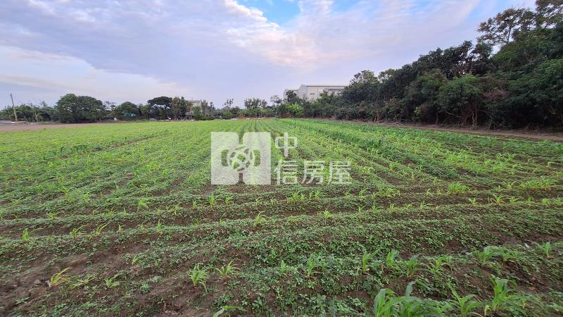歸仁媽祖廟段一般農地房屋室內格局與周邊環境