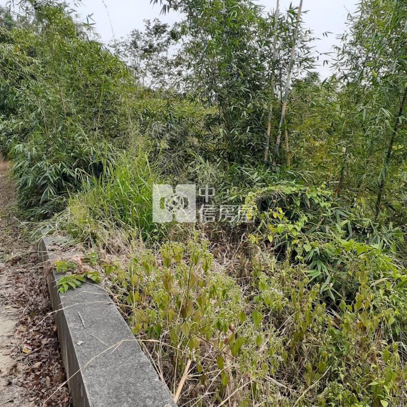 左鎮光和段臨路4276優質農地房屋室內格局與周邊環境