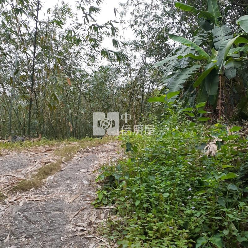 左鎮光和段臨路4276優質農地房屋室內格局與周邊環境
