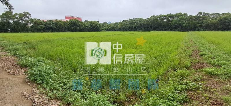 【新夢想】楊梅瑞原國小一般農地房屋室內格局與周邊環境