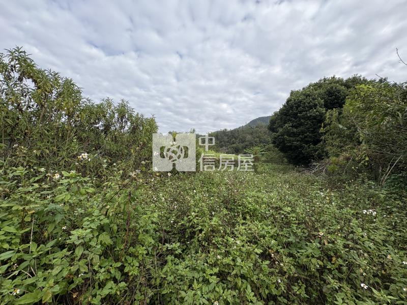 牛尾小農地房屋室內格局與周邊環境