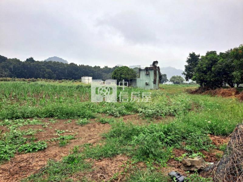 玉井區4.7分傳承一般美農地(一)房屋室內格局與周邊環境
