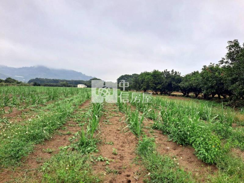 玉井區4.7分傳承一般美農地(一)房屋室內格局與周邊環境