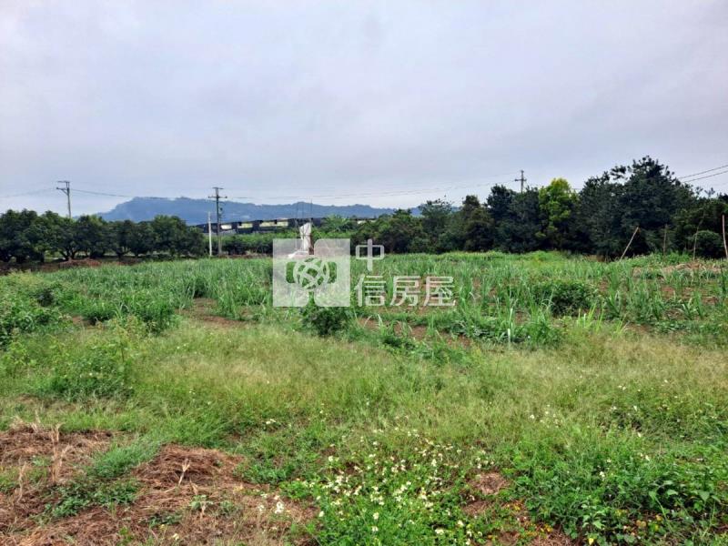 玉井區4.7分傳承一般美農地(一)房屋室內格局與周邊環境