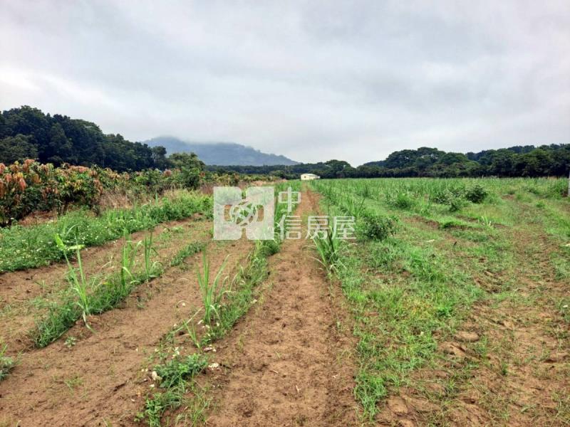 玉井區4.7分傳承一般美農地(一)房屋室內格局與周邊環境