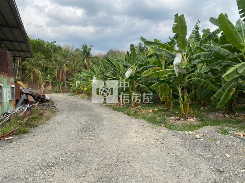 合法96坪農舍含1甲1分農地房屋室內格局與周邊環境