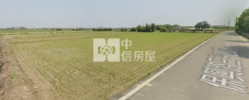 【奔馳】觀音大坪數漂亮邊角農地房屋室內格局與周邊環境