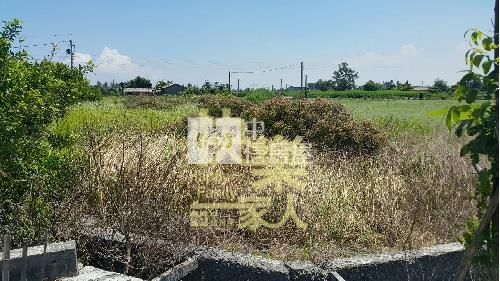 雲林四湖廣溝社區256優質農地房屋室內格局與周邊環境