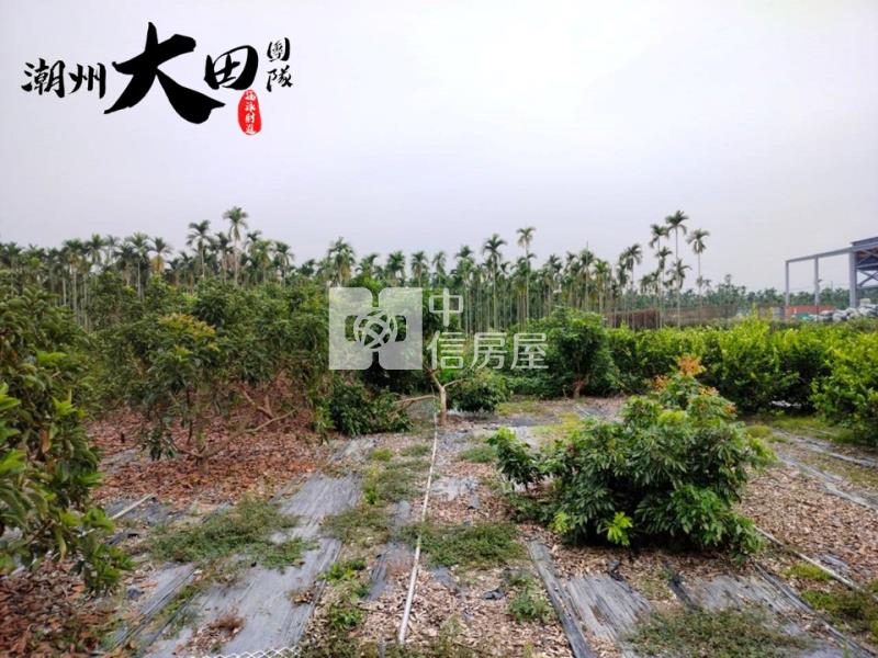 潮州面寬方正美農地房屋室內格局與周邊環境