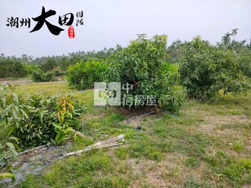 潮州面寬方正美農地房屋室內格局與周邊環境