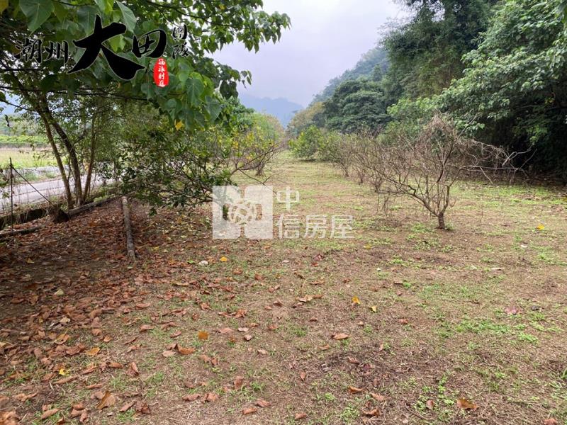 萬安馬士部落農地房屋室內格局與周邊環境