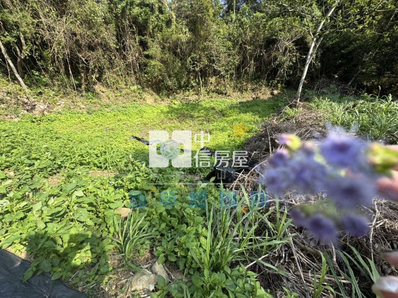 【新夢想】關西臨路大地坪臨路美農地房屋室內格局與周邊環境