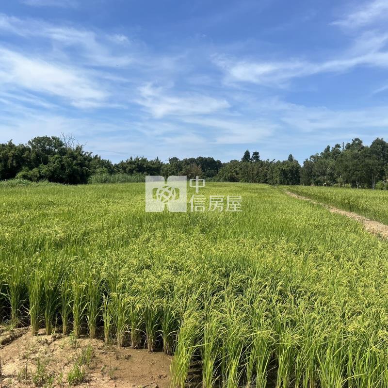新屋農地792.84坪房屋室內格局與周邊環境