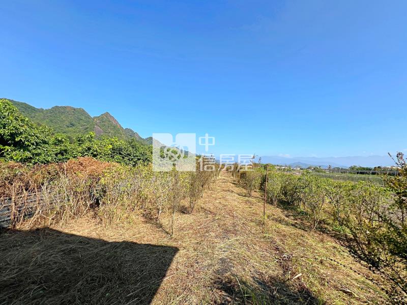 高雄土地 自我實現-合法農舍(設)房屋室內格局與周邊環境