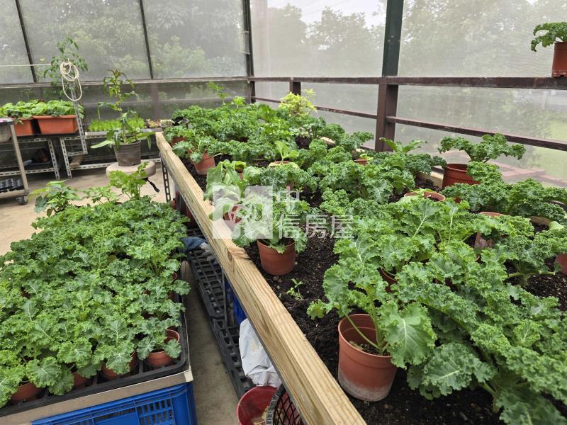近高鐵開心農場農舍房屋室內格局與周邊環境