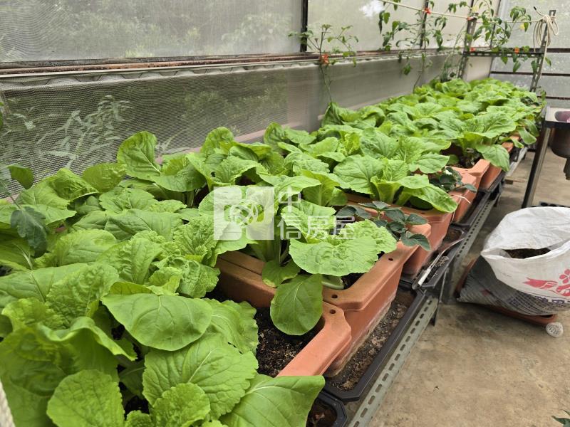 近高鐵開心農場農舍房屋室內格局與周邊環境