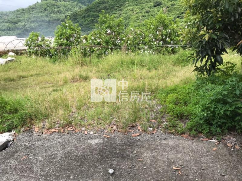 六龜5.9分黃金果收租美農地房屋室內格局與周邊環境