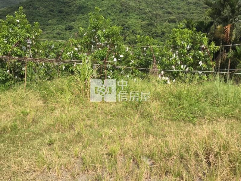 六龜5.9分黃金果收租美農地房屋室內格局與周邊環境