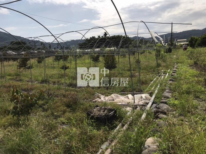 六龜5.9分黃金果收租美農地房屋室內格局與周邊環境