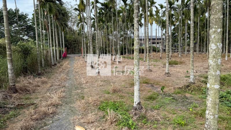 內埔大新農地房屋室內格局與周邊環境