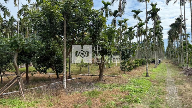 內埔大新農地房屋室內格局與周邊環境