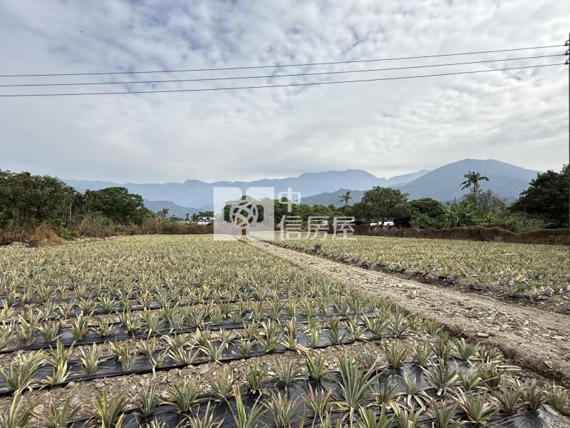 萬巒休閒農地4.44分房屋室內格局與周邊環境