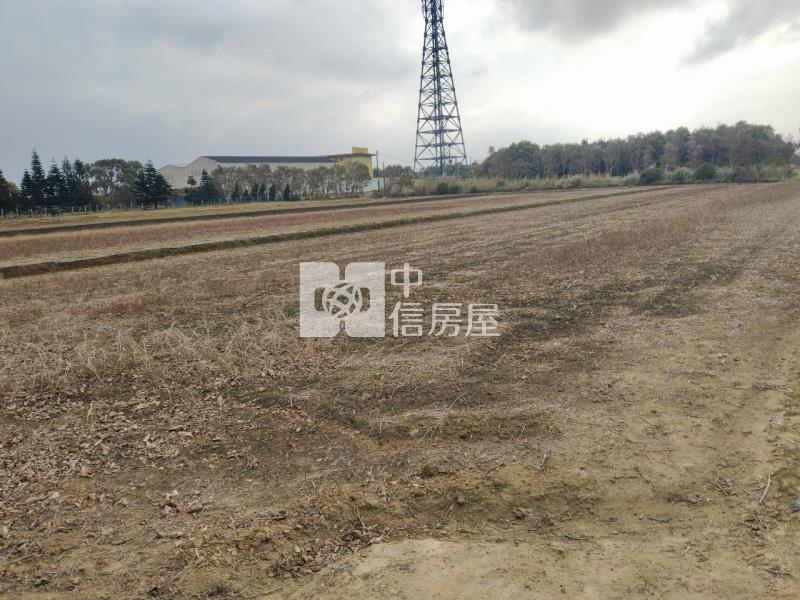 新屋區大牛欄段美農地房屋室內格局與周邊環境