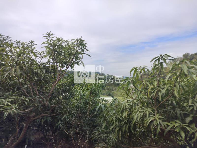 龜丹溫泉超值美農地房屋室內格局與周邊環境