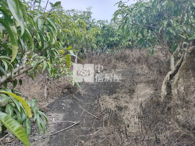 龜丹溫泉超值美農地房屋室內格局與周邊環境