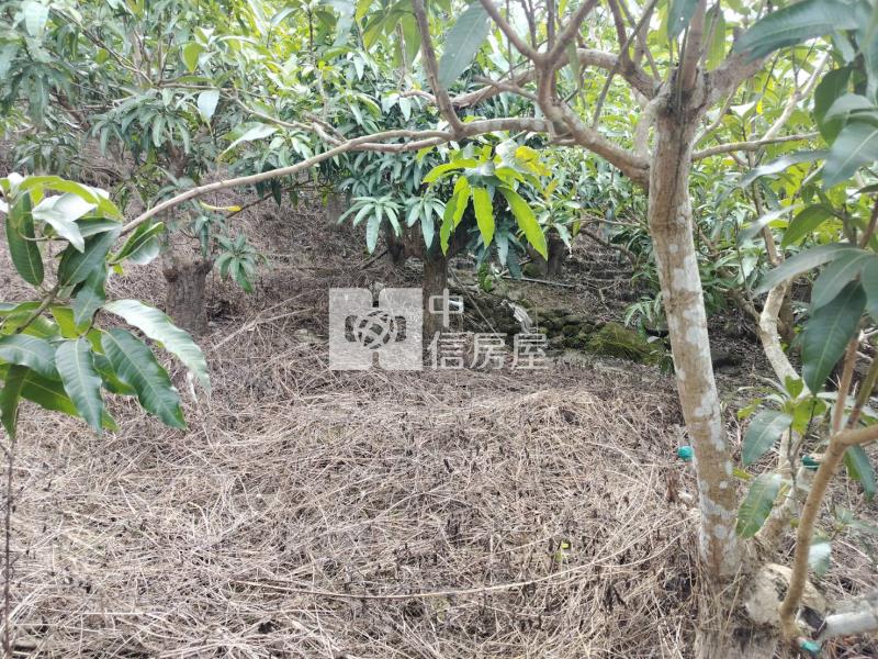 龜丹溫泉超值美農地房屋室內格局與周邊環境