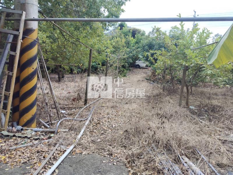 龜丹溫泉超值美農地房屋室內格局與周邊環境