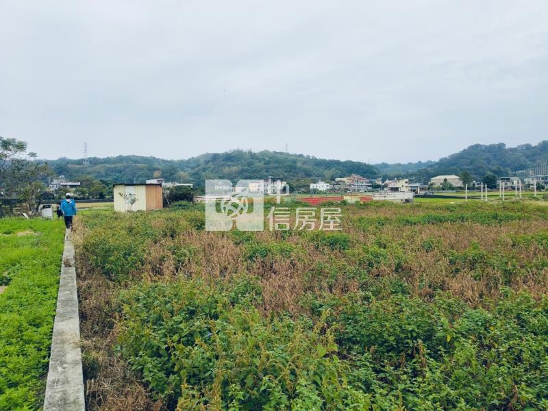 專任後龍二張犁優質農地+建地房屋室內格局與周邊環境