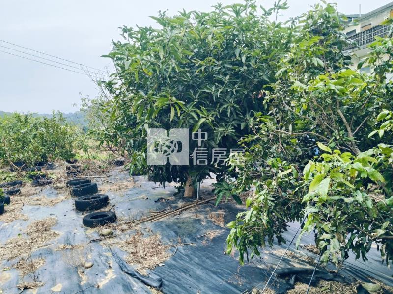 專任後龍二張犁優質農地+建地房屋室內格局與周邊環境