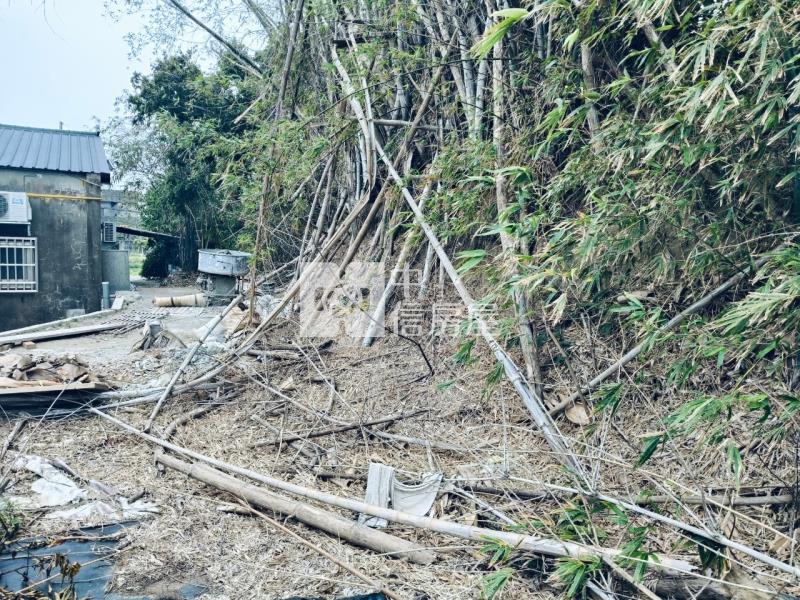 專任後龍二張犁優質農地+建地房屋室內格局與周邊環境