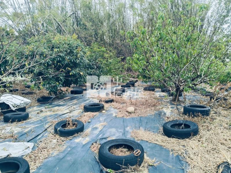 專任後龍二張犁優質農地+建地房屋室內格局與周邊環境