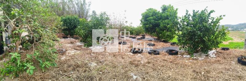 專任後龍二張犁優質農地+建地房屋室內格局與周邊環境