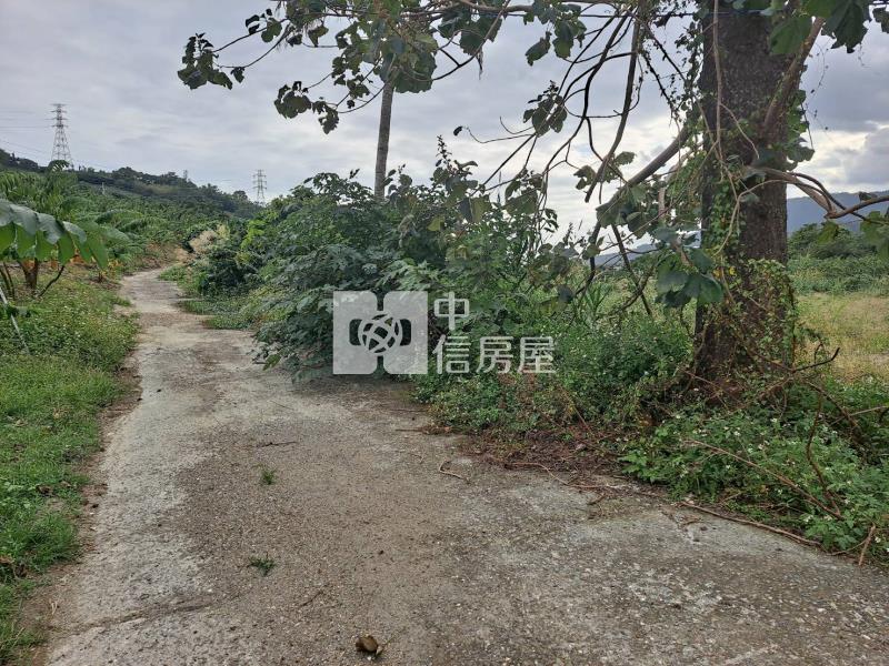 初鹿郵局後1028坪臨路平坦農地房屋室內格局與周邊環境