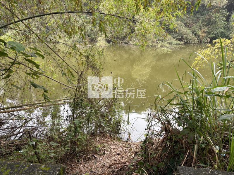 內門腳帛寮千坪農地房屋室內格局與周邊環境