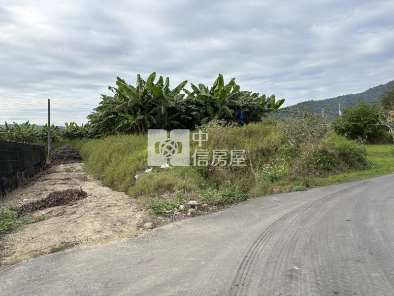 新福興大路邊田房屋室內格局與周邊環境