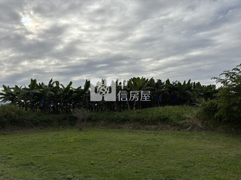 新福興大路邊田房屋室內格局與周邊環境