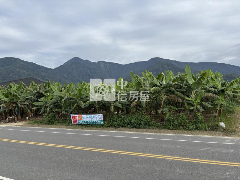新福興大路邊田房屋室內格局與周邊環境