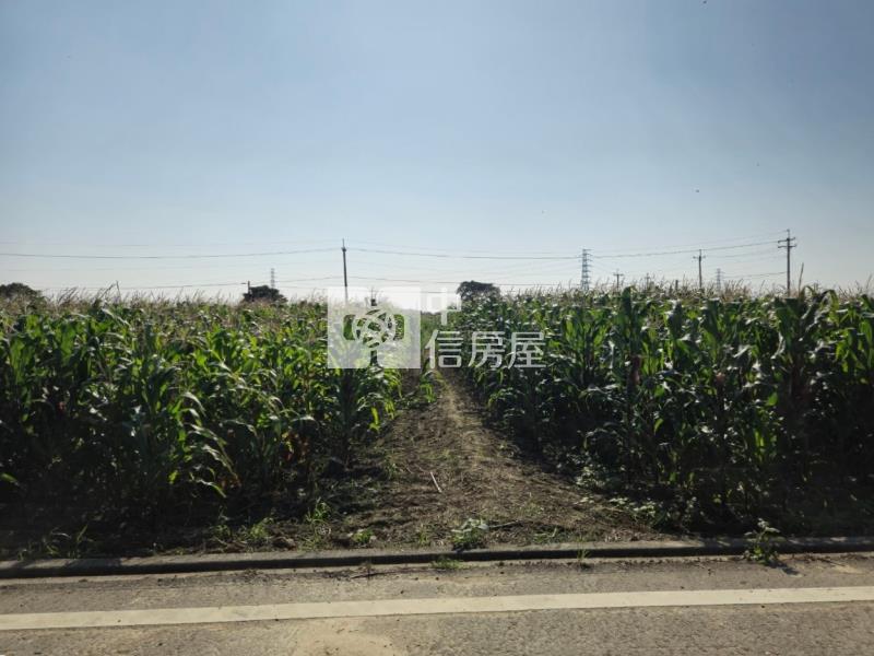 後壁區白沙屯地型方正肥沃農地房屋室內格局與周邊環境