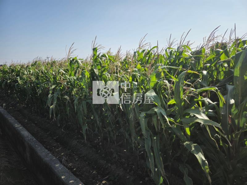 後壁區白沙屯地型方正肥沃農地房屋室內格局與周邊環境