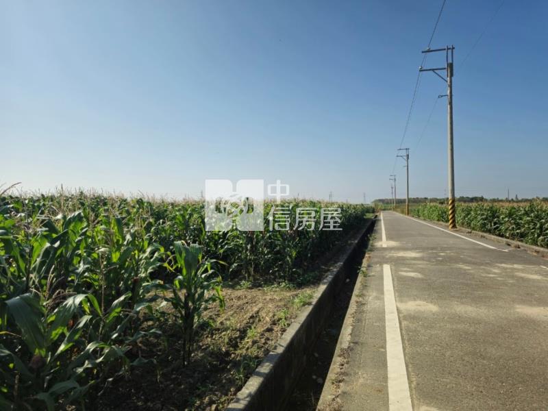 後壁區白沙屯地型方正肥沃農地房屋室內格局與周邊環境