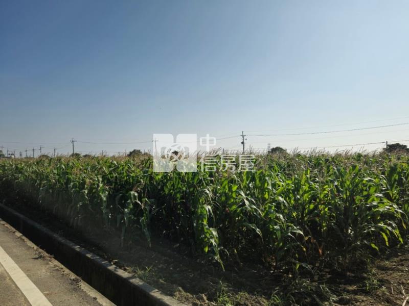 後壁區白沙屯地型方正肥沃農地房屋室內格局與周邊環境
