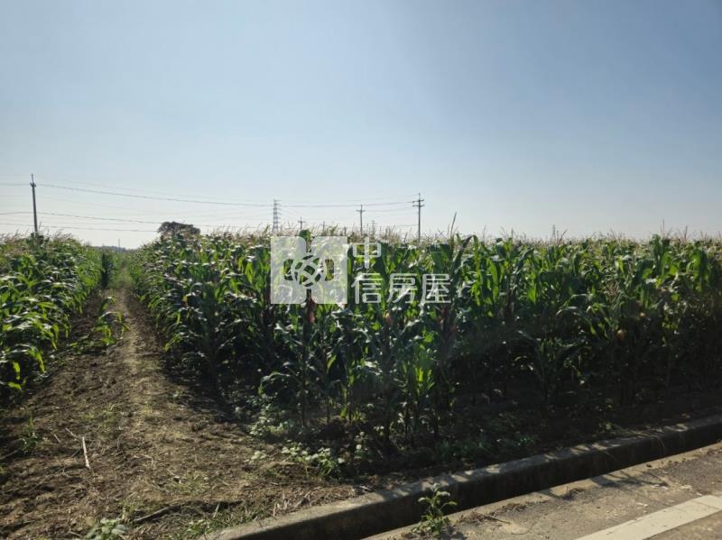 後壁區白沙屯地型方正肥沃農地房屋室內格局與周邊環境